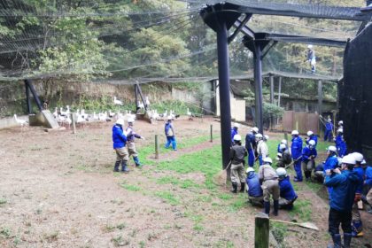 2019年の飼育・繁殖研修を行いました。