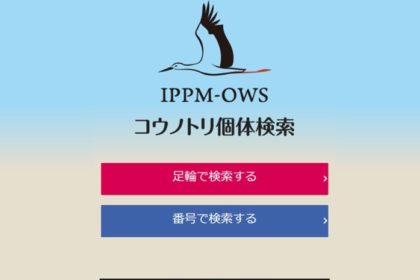 野外コウノトリの個体検索システムを改良しました